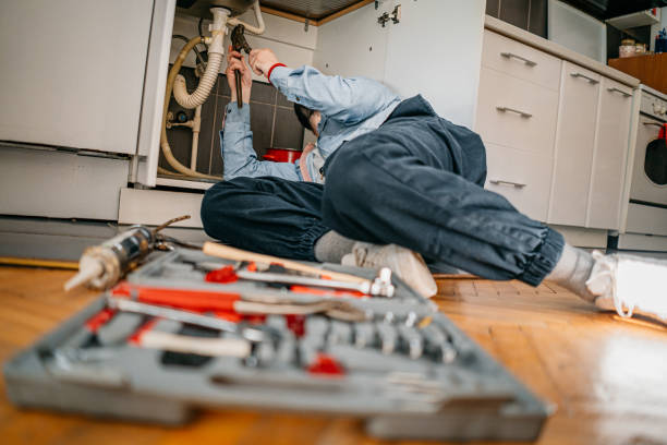 Best Plumbing Inspection Services  in La Mesilla, NM
