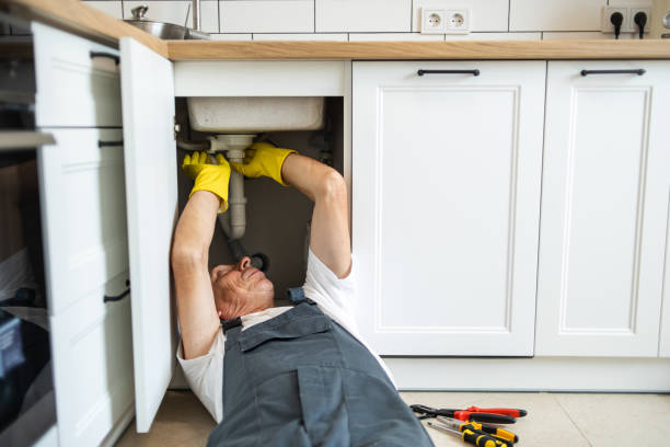 Best Residential Plumbing Services  in La Mesilla, NM
